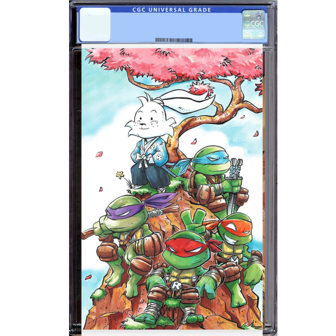 Teenage Mutant Ninja Turtles Usagi Yojimbo Wherewhen #2 1:10 Myer Variant  VF/NM – Ultimate Comics