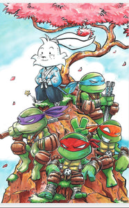 Teenage Mutant Ninja Turtles / Usagi Yojimbo: WhereWhen #5 Mazz Comics Exclusive Variant